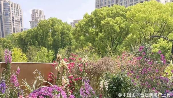 好的教科书