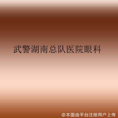 武警湖南总队医院眼科
