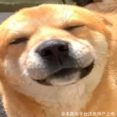 与哦按前五