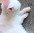 温说的色