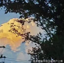 理想的生活