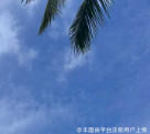 不冲突