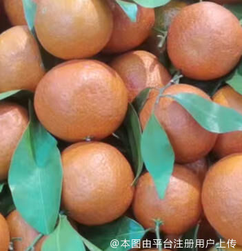 蹦蹦跳跳