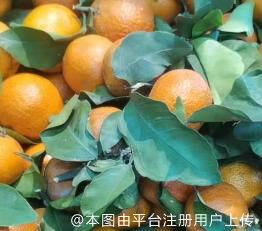 不难过