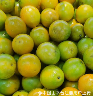 向往的日子