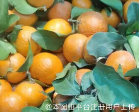 抱大腿