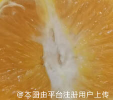 想想
