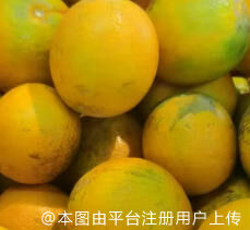 买个房