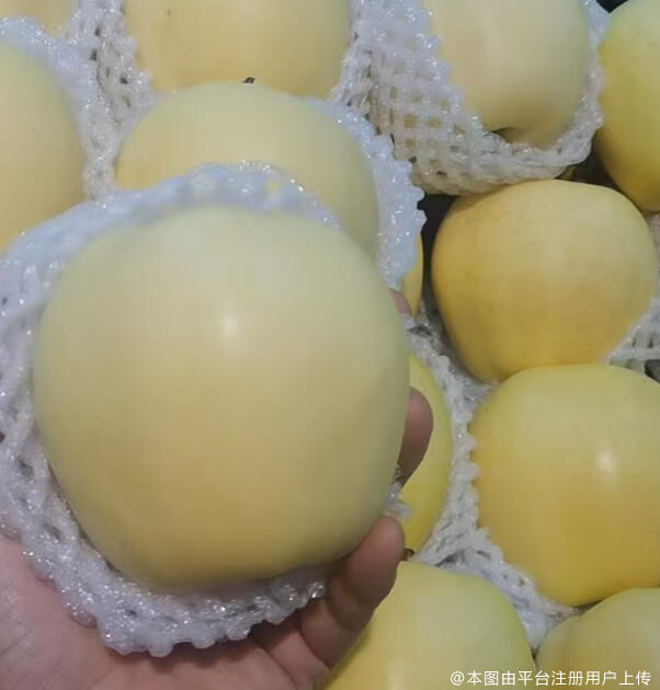 云端鲸鱼
