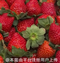  老板画的饼