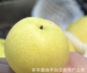 踏实