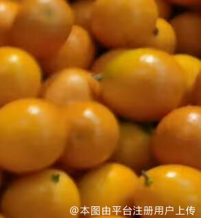 年前瘦身