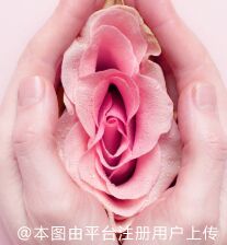 手术紧缩阴道
