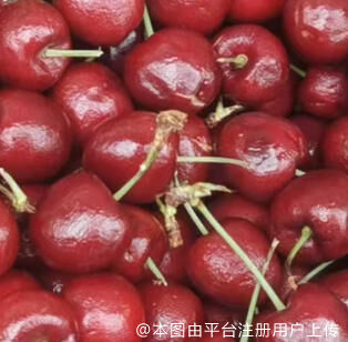 添乱