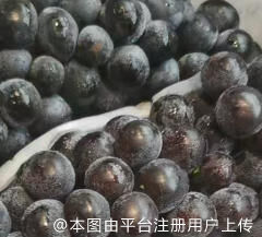 惊艳