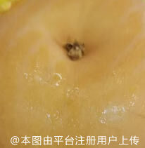 美没有标准答案