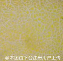 代替