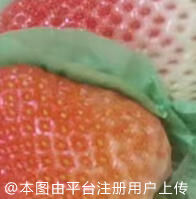 风格