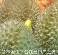 不打扰人