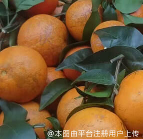 美感