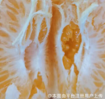 小狗