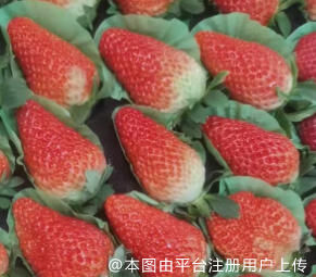 多数人