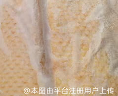投入