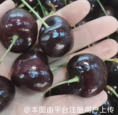 海南
