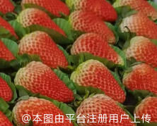 gfdgfdg