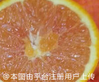 调试