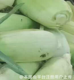 麻烦